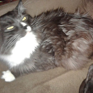 Meet your Posher, Kiley